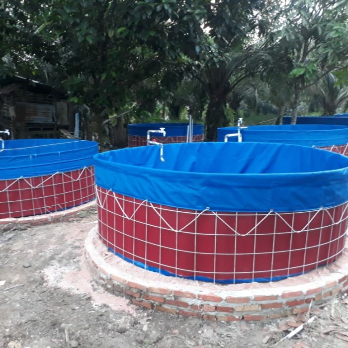 b1b09d7c-cd83-4193-acf0-4d7e50a72178